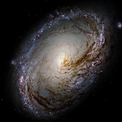 Similar image 11421923