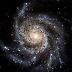 Similar image 11421928