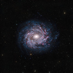 Similar image 11421930