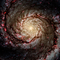 Similar image 11421931