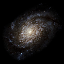 Similar image 11421932