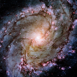 Similar image 11421934