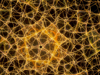 Similar image 11426385