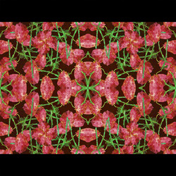 Similar image 11421719