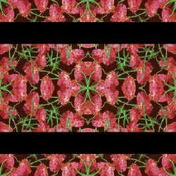 Similar image 11421720