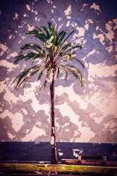 Similar image 11434482