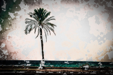 Similar image 11434498