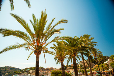 Similar image 11434557