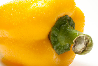 Similar image 11434569