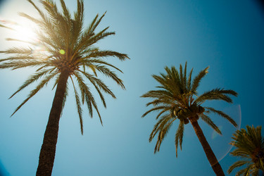 Similar image 11434570