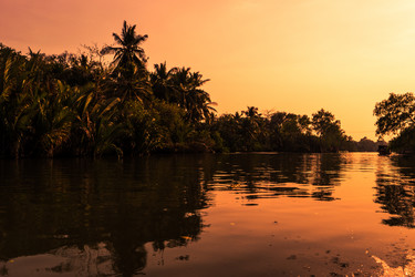 Similar image 11434574