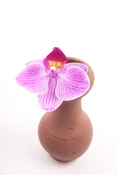 Similar image 11434633