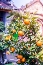 Similar image 11434744