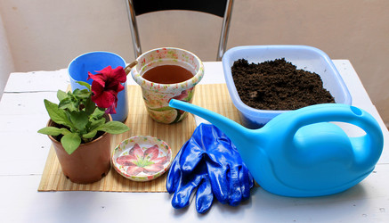 Similar image 11421721