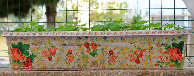 Similar image 11421725