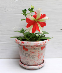 Similar image 11421726