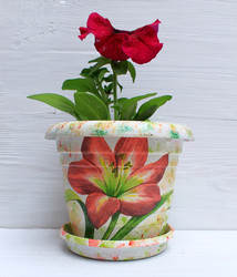 Similar image 11421755