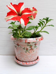 Similar image 11421756