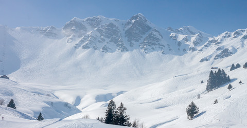 Similar image 11424048