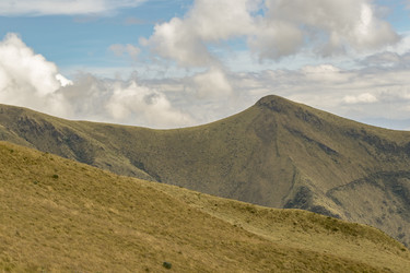 Similar image 11421731