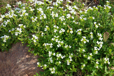 Similar image 11420217