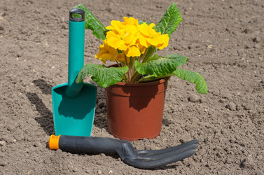 Similar image 11420218