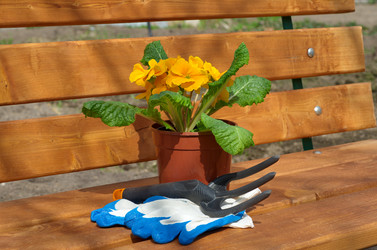 Similar image 11420219