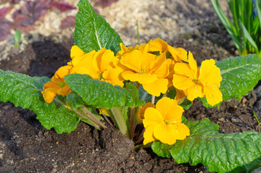 Similar image 11420530