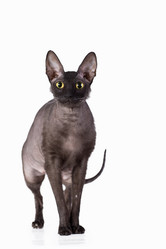 Similar image 11422394