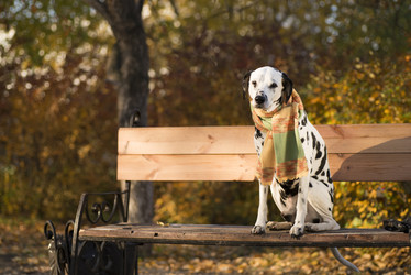 Similar image 11422396