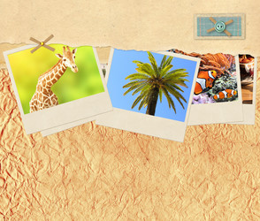 Similar image 11425127