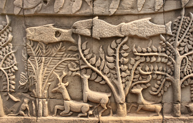 Similar image 11425118