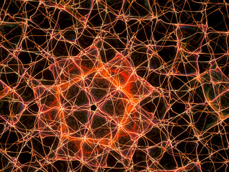 Similar image 11426407