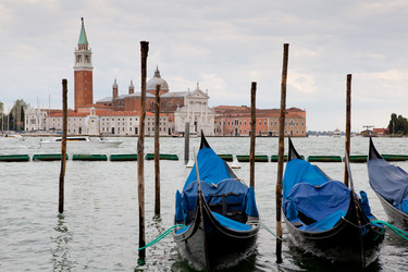 Similar image 11421772