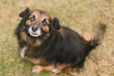 Similar image 11427998