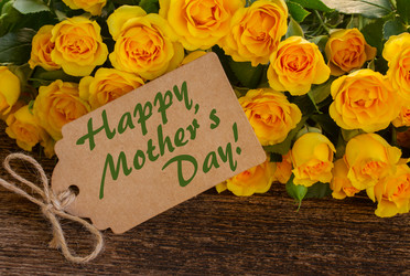 Similar image 11425858