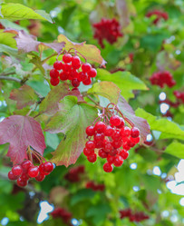 Similar image 11453014