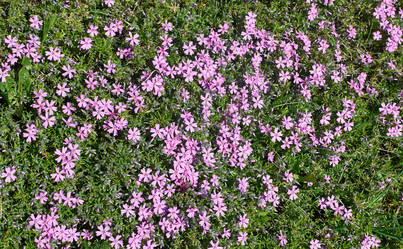 Similar image 11424549