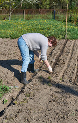 Similar image 11424551