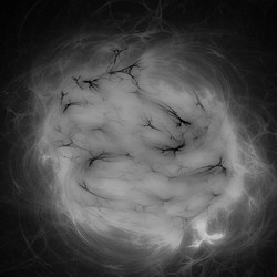 Similar image 11434867