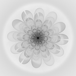 Similar image 11434871