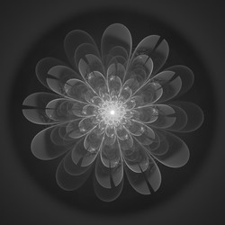 Similar image 11434883