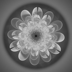 Similar image 11434884