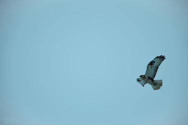 Similar image 11427173