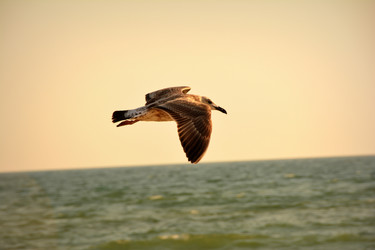 Similar image 11424241