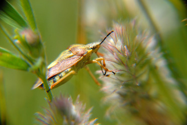 Similar image 11424242