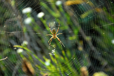 Similar image 11424245