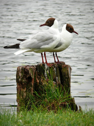 Similar image 11424247