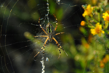 Similar image 11424249