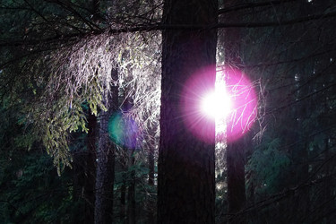 Similar image 11424230